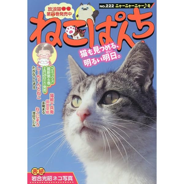 ねこぱんち 春風ポカポカ猫ジャンプ!号 (にゃんCOMI) | アンソロジー